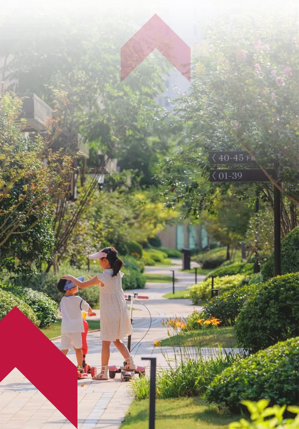 政策東風助力 巨龍提升福祉——長興舊梯改造工程集錦