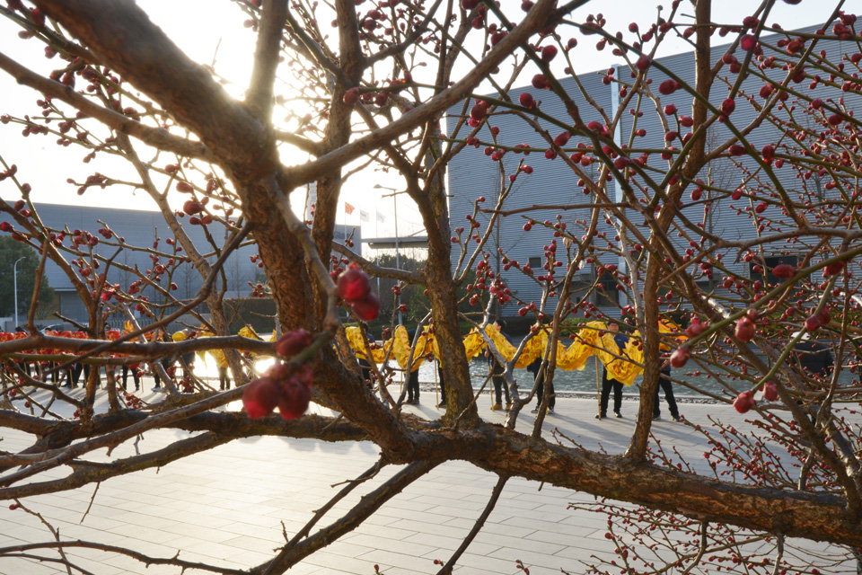 祥蛇映春暉 新歲啟新程——巨人工業園喜迎開工